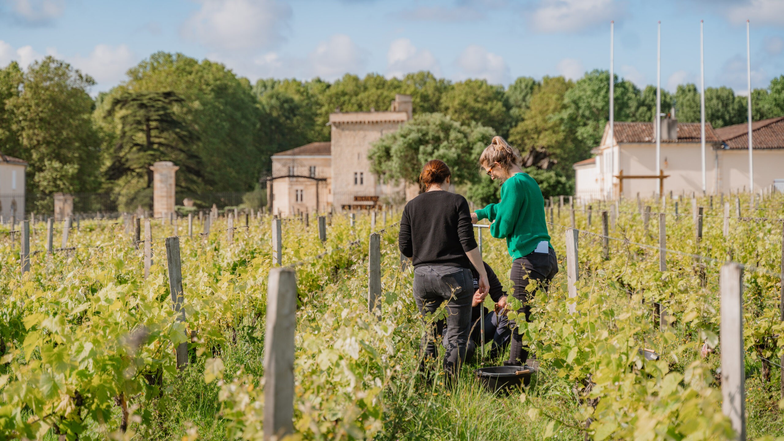 Image de l'évenement Microbiote des sols : Starfish Bioscience étend sa levée en amorçage